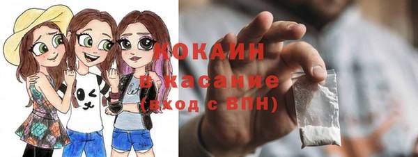 индика Абдулино