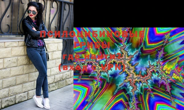 индика Абдулино