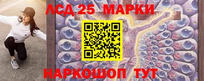 гидра Долгопрудный