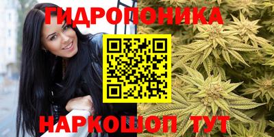 гидра Долгопрудный