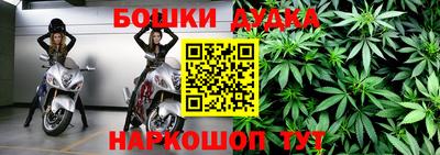 гидра Долгопрудный