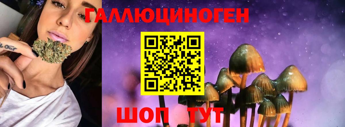 Копейск  Псилоцибиновые грибы ЛСД  наркотики  Вход с VPN 